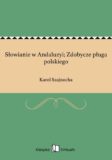 Słowianie w Andaluzyi; Zdobycze pługa polskiego – ebook, Karol Szajnocha