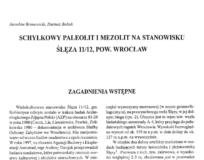 Schyłkowy paleolit i mezolit na stanowisku Ślęza 11/12, pow. Wrocław, Jarosław Bronowicki, Dariusz Bobak